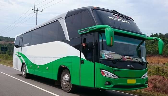 760 Gambar Kursi Bus Pariwisata 33 Seats Terbaik