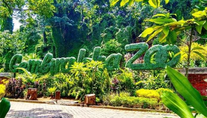 Kebun BInatang Gembira Loka Zoo Jogja