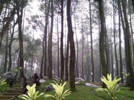 Taman Wisata Alam Gunung Pancar Bogor